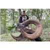 Image 3 : 4-Day France Fallow Deer and European Mouflon Hunt 2 Huntera and 1 guide