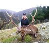 Image 1 : 5-day New Zealand Sika Deer Hunt for One Hunter and One Non-Hunter