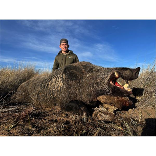 7-day Argentina Free Range Red Stag & European Boar Hunt for One hunter and One Non-Hunter