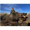 Image 1 : 7-day Argentina Free Range Red Stag & European Boar Hunt for One hunter and One Non-Hunter