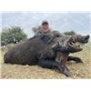 Image 2 : 7-day Argentina Free Range Red Stag & European Boar Hunt for One hunter and One Non-Hunter