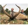 Image 3 : 6 Day Iberian Red Deer Hunt for 1 Hunter and 1 Non-Hunter