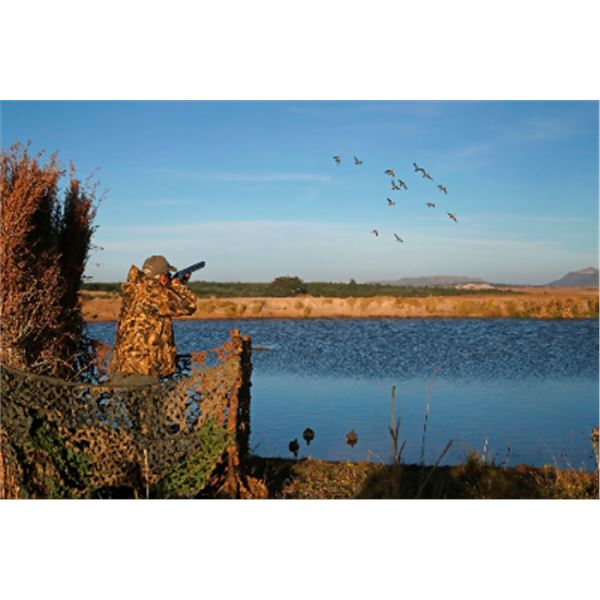 Waterfowl & Game Bird Shooting 3 Hunters 4 Non-Hunters — Eastern Cape, South Africa
