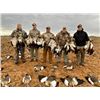 Image 2 : Waterfowl & Game Bird Shooting 3 Hunters 4 Non-Hunters — Eastern Cape, South Africa