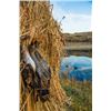 Image 3 : Waterfowl & Game Bird Shooting 3 Hunters 4 Non-Hunters — Eastern Cape, South Africa