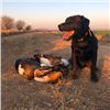 Image 4 : Waterfowl & Game Bird Shooting 3 Hunters 4 Non-Hunters — Eastern Cape, South Africa
