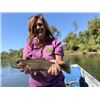 Image 2 : 3-Day Trout Fishing Getaway for Two at Whispering Waters Lodge