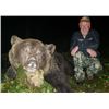 Image 2 : 7-day Hunt for European Brown Bear, Roe Deer and Red Fox for 1 Hunter and 1 Non-Hunter