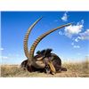 Image 2 : Sable, Golden Wildebeest & Plains Game Safari — North West Province, South Africa