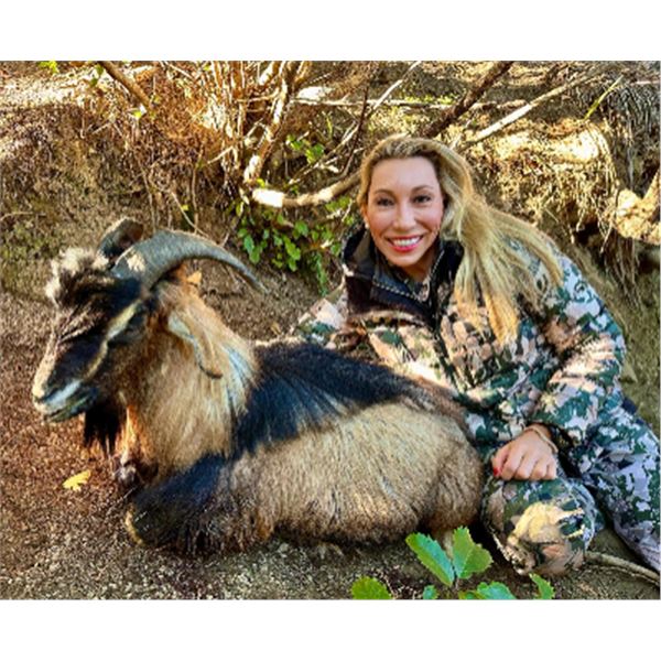 New Zealand Hunt for Two Hunters in Pursuit of Red Stag, Goat, Chamois and Boar