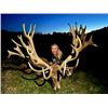 Image 4 : New Zealand Hunt for Two Hunters in Pursuit of Red Stag, Goat, Chamois and Boar