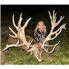 Image 5 : New Zealand Hunt for Two Hunters in Pursuit of Red Stag, Goat, Chamois and Boar