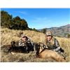 Image 7 : New Zealand Hunt for Two Hunters in Pursuit of Red Stag, Goat, Chamois and Boar