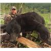 Image 2 : 5-day Vancouver Island Coastal Black Bear Hunt for One Hunter With SCI's CEO Laird Hamberlin