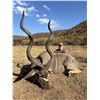 Image 1 : 7-day/8-night South Africa Plains Game Hunt for Two Hunters and Two Non-hunters