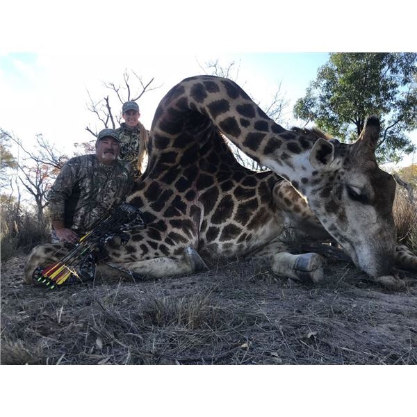 7-day Limpopo Giraffe and Small Game Hunt for One Hunter and One Non-hunter