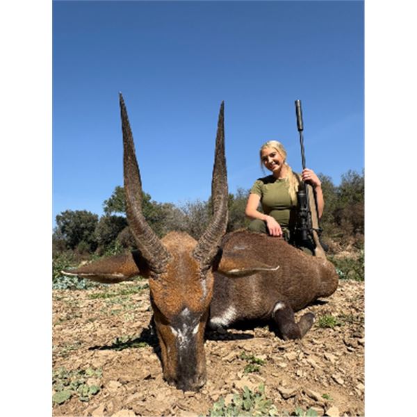 Plains Game Safari, Wingshooting & Fishing — South Africa