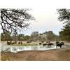 Image 3 : Plains Game Safari, Wingshooting & Fishing — South Africa