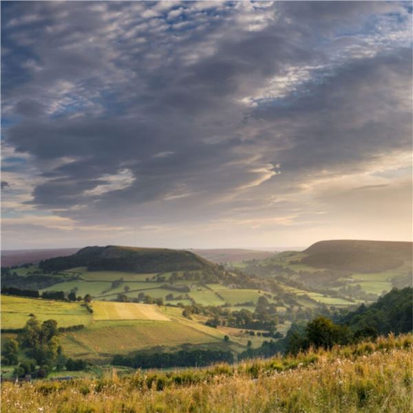 2-day United Kingdom Driven Pheasant and Partridge Hunt for Two Hunters