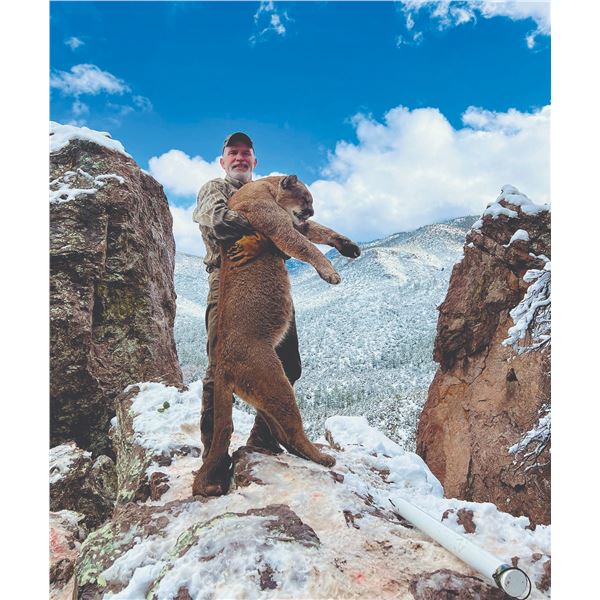 102 #PRE-02 Five-Day Trophy Mountain Lion Hunt,  Arizona