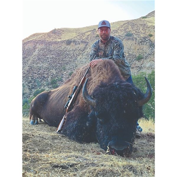 103 #PRE-03 Free-Range Bison Hunt, California