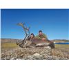 Image 5 : 104 #PRE-04 Arctic Islands Caribou, Nunavut and  Greenland Muskox Fall Hunt