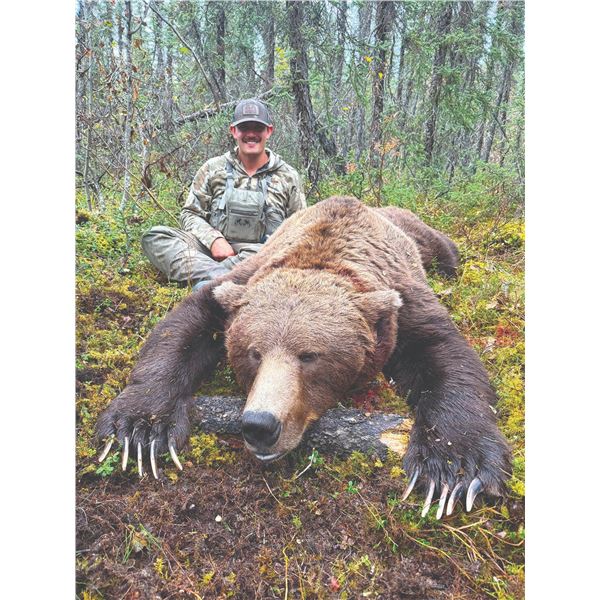 202#PRE-02 Spring Baited Grizzly Bear Hunt  for One Hu