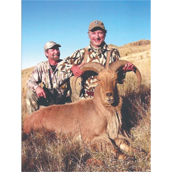 402 #LUN-02 Aoudad Sheep Hunt, Texas