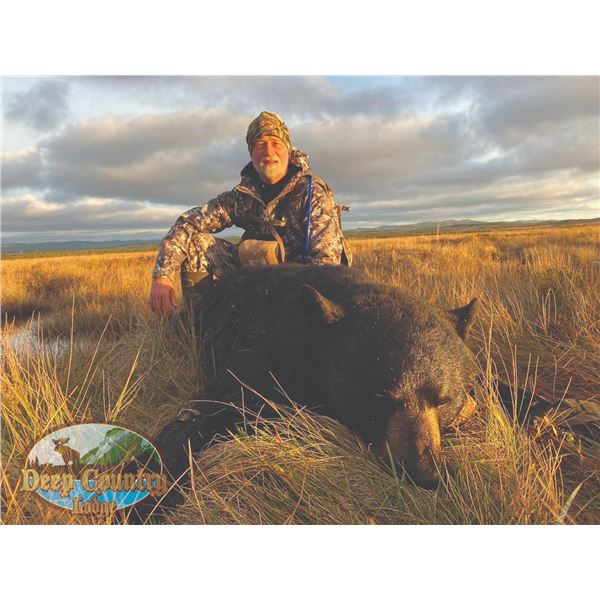 403 #LUN-03 Black Bear Hunt for Two Bears, Newfoundland