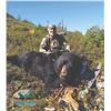 Image 3 : 403 #LUN-03 Black Bear Hunt for Two Bears, Newfoundland