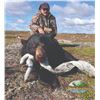 Image 5 : 403 #LUN-03 Black Bear Hunt for Two Bears, Newfoundland