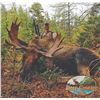 Image 7 : 403 #LUN-03 Black Bear Hunt for Two Bears, Newfoundland