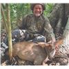 Image 1 : 404 #LUN-04 Red or Gray Brocket Deer Hunt, Mexico