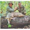 Image 2 : 404 #LUN-04 Red or Gray Brocket Deer Hunt, Mexico