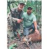 Image 4 : 404 #LUN-04 Red or Gray Brocket Deer Hunt, Mexico