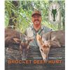 Image 5 : 404 #LUN-04 Red or Gray Brocket Deer Hunt, Mexico