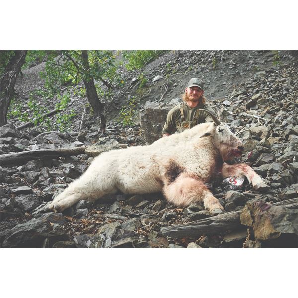 406 #LUN-06 World Class Mountain Goat Hunt, Northern British Columbia