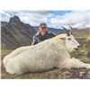 Image 2 : 406 #LUN-06 World Class Mountain Goat Hunt, Northern British Columbia