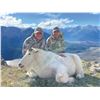 Image 3 : 406 #LUN-06 World Class Mountain Goat Hunt, Northern British Columbia