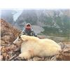 Image 4 : 406 #LUN-06 World Class Mountain Goat Hunt, Northern British Columbia