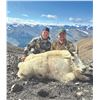 Image 5 : 406 #LUN-06 World Class Mountain Goat Hunt, Northern British Columbia