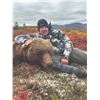 Image 3 : 408 #LUN-08 Grizzly and Black Bear Combo Hunt, Alaska