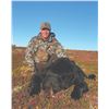 Image 8 : 408 #LUN-08 Grizzly and Black Bear Combo Hunt, Alaska