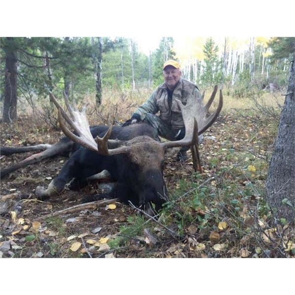 409 #LUN-09 Wyoming Shiras Moose Governor’s Permit