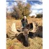 Image 2 : 409 #LUN-09 Wyoming Shiras Moose Governor’s Permit