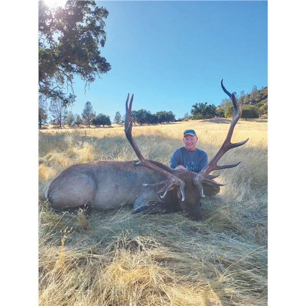 410 #LUN-10 Trophy Tule Elk Hunt, California