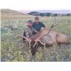 Image 2 : 410 #LUN-10 Trophy Tule Elk Hunt, California