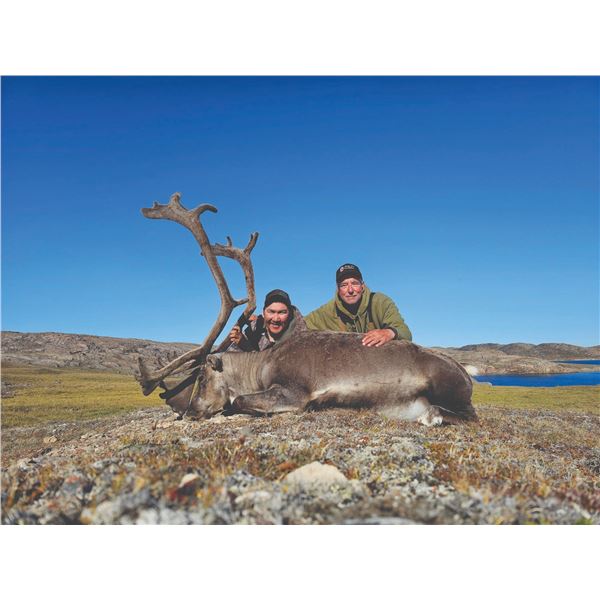 411 #LUN-11 Arctic Islands Caribou Hunt,  Nunavut