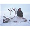 Image 2 : 411 #LUN-11 Arctic Islands Caribou Hunt,  Nunavut