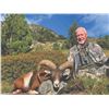 501 #DIN-01 French Mainland Corsican Mouflon Hunt,  France